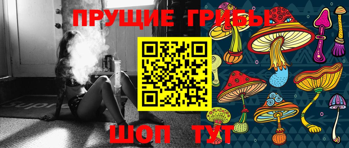 Псилоцибиновые грибы прущие грибы Чистополь