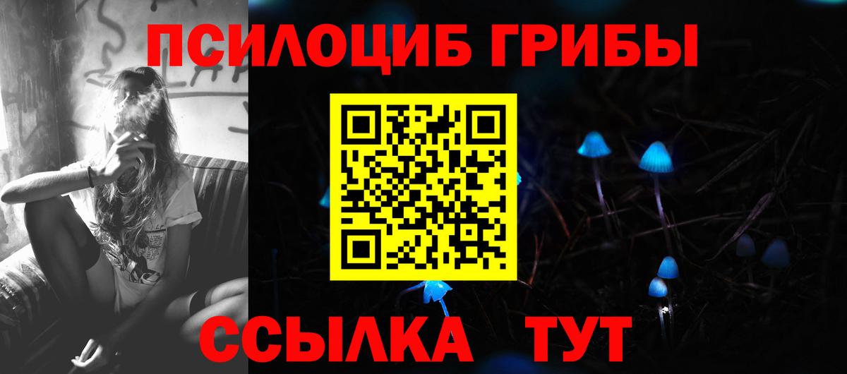 Чистополь  Галлюциногенные грибы ЛСД  Вход с VPN 